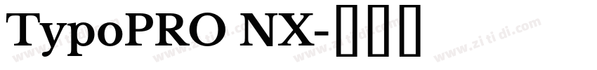 TypoPRO NX字体转换 TypoPRO NX字体转换